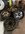 C79FF457-22DB-4904-8F07-92CC9775BE26.jpeg