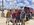 3056AB57-AB74-4641-BF78-492490829866.jpeg