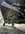 9A74847C-7C33-4420-B3BE-25FCF9842579.jpeg