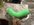 169BFAD1-B3A9-4FB2-AFAE-7D95EF96A4C5.jpeg