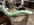 947D6F77-03C0-4213-8205-D5F1DE7C6482.jpeg