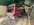 37CD5D1D-8BFF-492D-B716-6379E889923F.jpeg