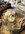 AB4BC5C3-B482-46C6-BE3D-96F7A26795EB.jpeg
