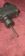 1659581545357.png