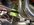 F2EC79F2-DE41-4A7C-8CB7-6EF553D19AC6.jpeg