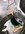 6EABC2E0-9D33-4773-8BD5-B50D20ED9200.jpeg