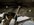 C7F288ED-3057-4D6C-A9A6-F322491ED1DA.jpeg
