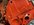 CDE5C5BA-1689-4FC1-94B2-08D38BCBEC27.jpeg