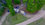 2AEB6C17-71AE-4B97-9F09-1AF0D7645148.jpeg