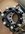 9BA89150-E627-49CA-A2CD-A49AC9A1225B.jpeg