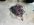 07FAC5C2-551A-4A2A-B756-70F494280177.jpeg