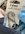 2132FCAE-3733-4126-B936-6B52A96BF9ED.jpeg