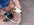 66B10D8D-B5F0-40BE-A318-C3A4824AE2D1.jpeg
