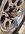 A115F409-B18D-4BFC-BA77-B946B506DBDC.jpeg