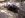 DSCN1147.sized.jpg