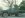 6sus40GumboFt.BraggMar27_2005_800x600_SwapColor.jpg