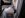 DSCN0218.JPG