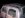100_9954.JPG