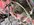 2DBA9173-0569-4A53-9E78-1D35DD11C212.jpeg
