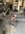 064501D6-AFF2-4A45-BA4A-1E0D566E9CA5.jpeg