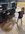 564E9891-B01D-48F7-B869-23CC499406CE.jpeg