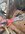 51950BBB-2BD5-4093-8BE9-85EE8B39817A.jpeg