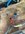 F2E53D72-9CF7-4658-98EC-8AC5445907F3.jpeg
