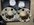 361D410D-D018-4BE2-948D-B69B664C223D.jpeg