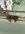 DAE7CCFD-D162-481D-A2B0-3B32A3D178DA.jpeg