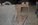 DSC_0070.JPG