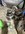 20220822_095236.jpg