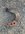 CB631A7B-5A40-4CCC-B35B-376324B865B2.jpeg