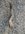 43D653B9-3CBE-41F3-B9C9-47AC346A3406.jpeg