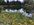DB12E95D-EA4E-4596-B11C-E791E8A99D13.jpeg