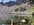 8DB4E1EF-7F2A-489F-8D7B-80A82FA97C0E.jpeg