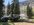 4D5BD74C-3053-4BC8-A555-B38A1D0E1C63.jpeg