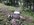 E85D5702-354E-4D7A-A62C-62593B9105F1.jpeg