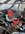 13B2FF72-D176-4B9A-82B1-BB00EF93A210.jpeg