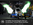 Screenshot_20220826-113338~2.png