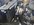 830D46CE-54FF-481F-955C-3BB8B9FB93E4.jpeg
