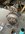 9DF965EC-CE63-49BC-93DA-A4724D561221.jpeg