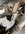 748CCB1E-9C77-48D1-90BC-134595E6BDF9.jpeg