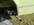 6F5BC396-0804-4ED7-8D24-54CC139097ED.jpeg