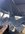 90B5CBEC-697B-48D9-9B8F-383D341BB290.jpeg