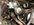 D792EFFF-B01D-4BD8-9397-45DD78885127.jpeg