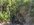 Resizer_16623230563077.jpeg