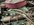 IMG_5455.jpg
