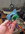 1662580219866.png 1662580219866.png