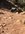 09830626-F747-4EBF-91AA-11328FC9C6A5.jpeg