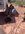 8D9F9A60-0BE8-4D9B-835A-096F473DBDE1.jpeg